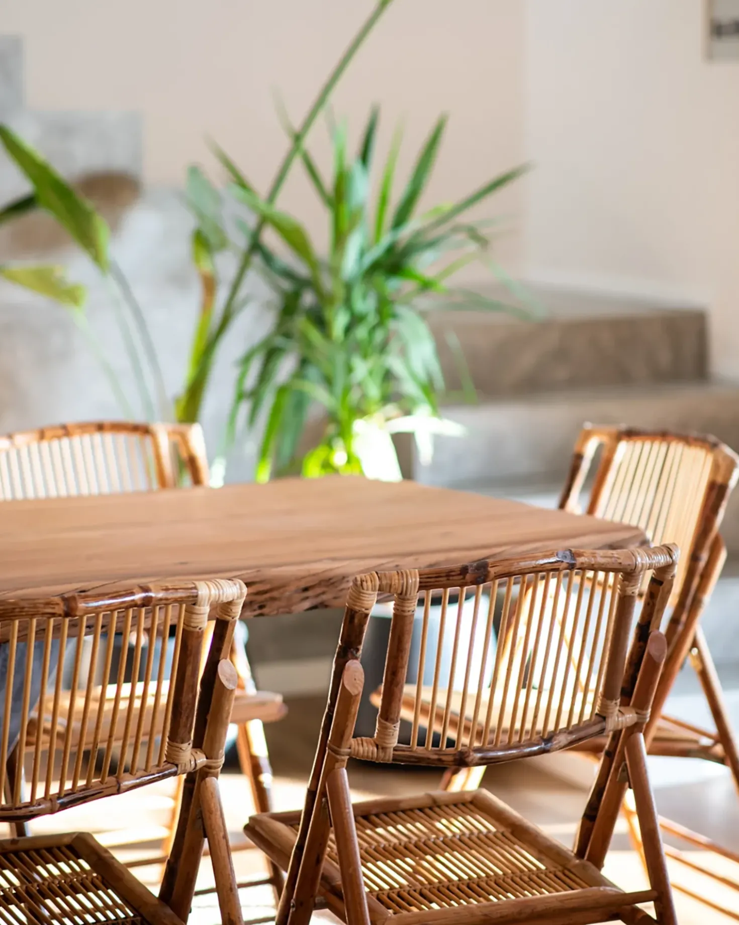 Set di 4 sedie da pranzo Pieghevole TRENTOR Bambù Naturale