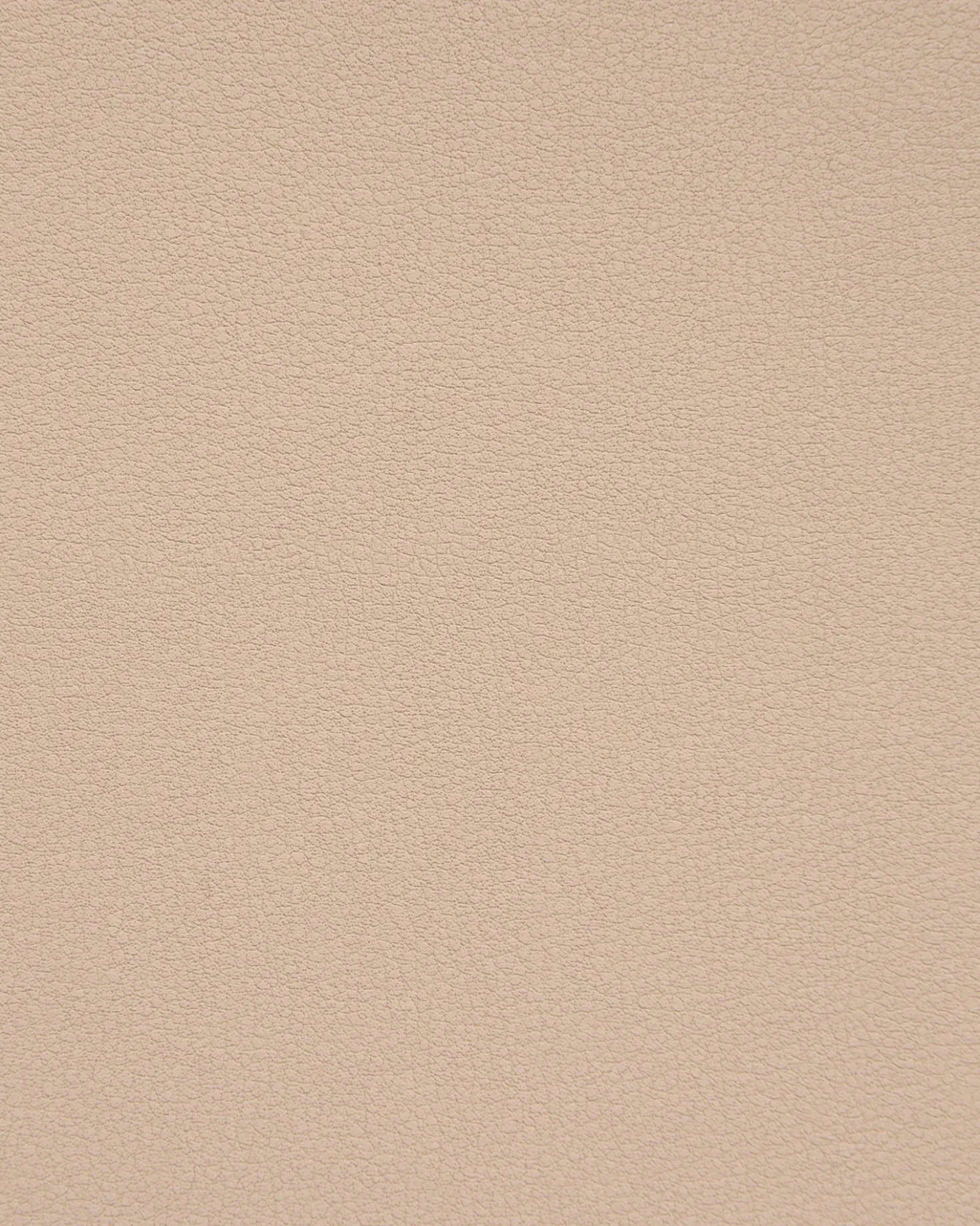 Set di 2 sedie da pranzo PITSBURG Beige