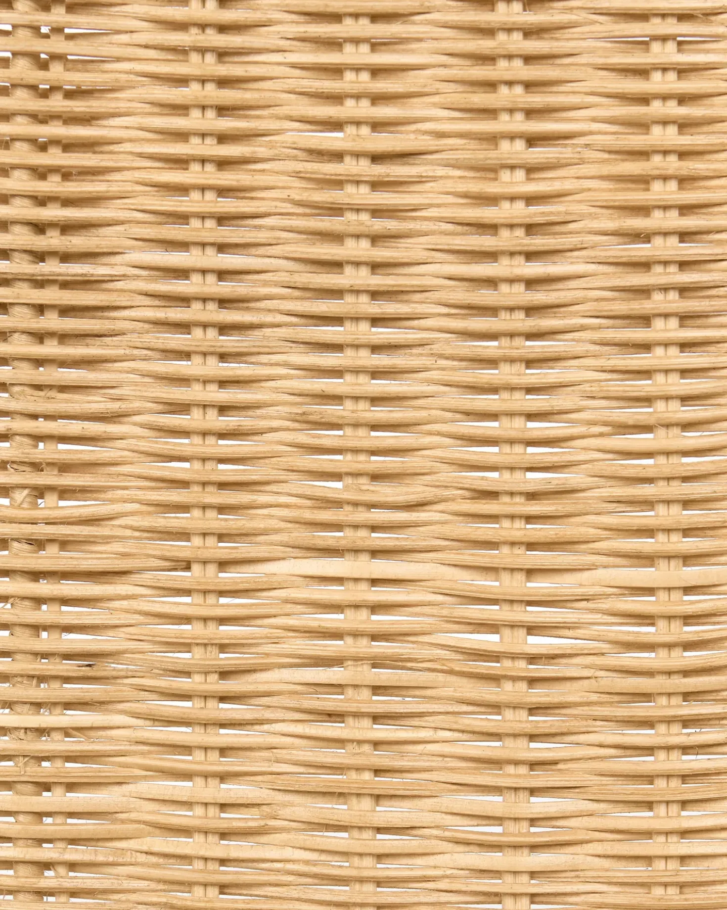 Set di 2 sedie da pranzo ROXTON Rattan Naturale