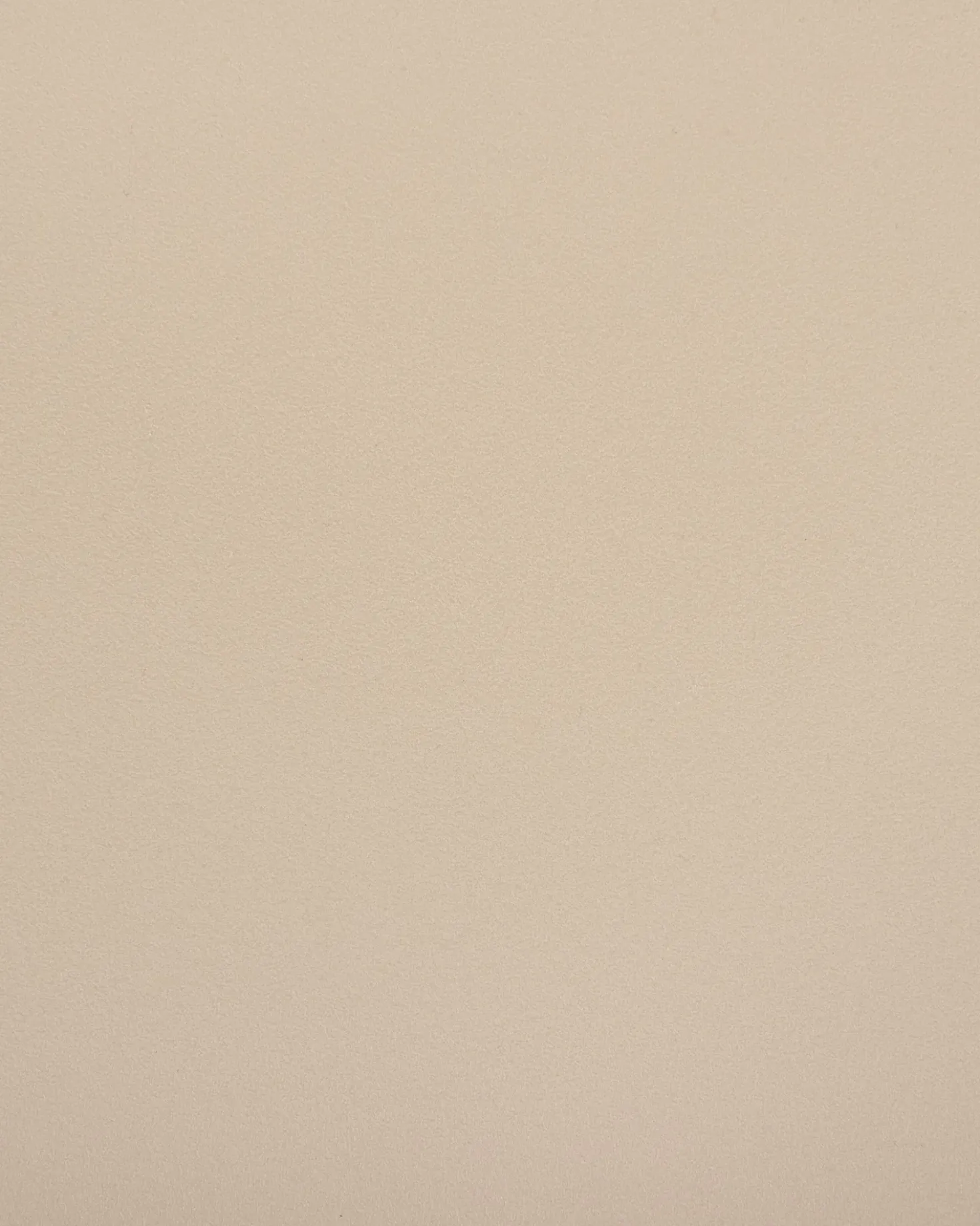 Set di 2 sedie da pranzo SOMERS Beige