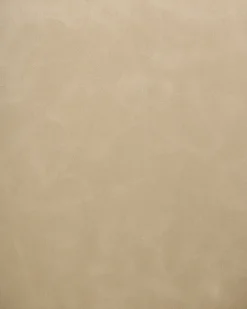 Set di 2 sedie da pranzo SANSARC Pelle sintetica Beige