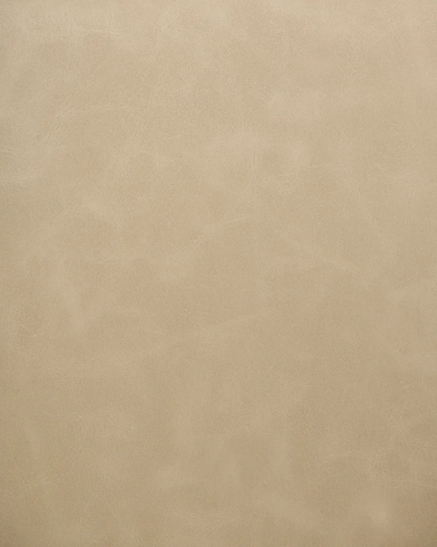 Set di 2 sedie da pranzo SANSARC Pelle sintetica Beige