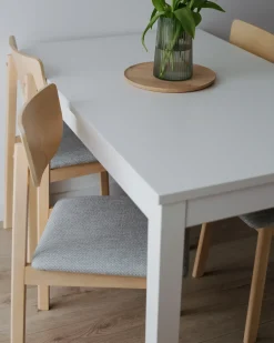 Set di 2 sedie da pranzo SCANDIA Legno Grigio chiaro