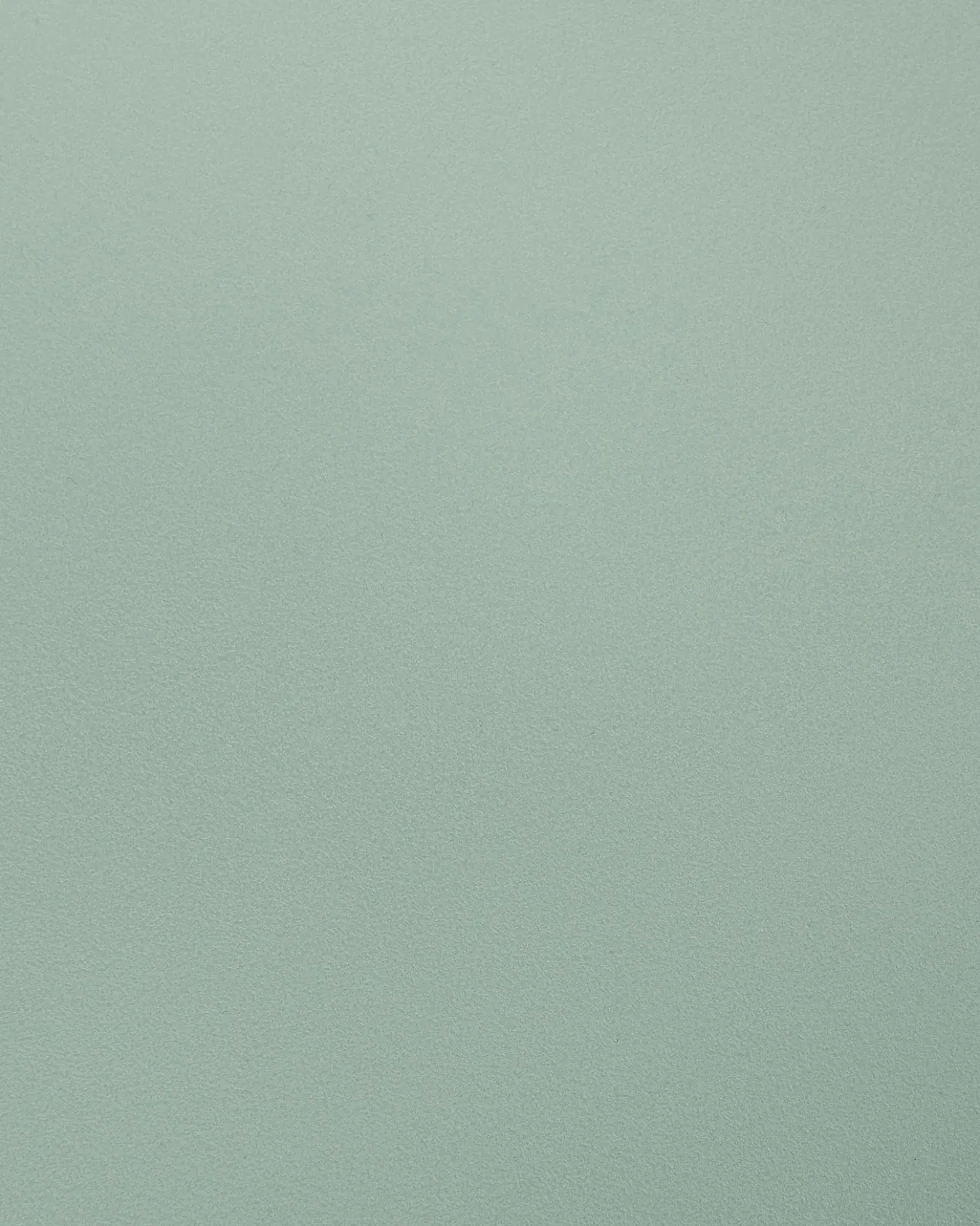 Set di 2 sedie da pranzo SOMERS Verde menta