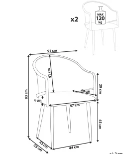 Set di 2 sedie da pranzo WEIMAR Metallo Marrone chiaro