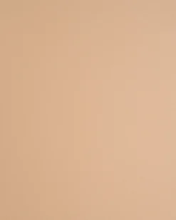 Set di 2 sedie da pranzo WINDUST Metallo Beige