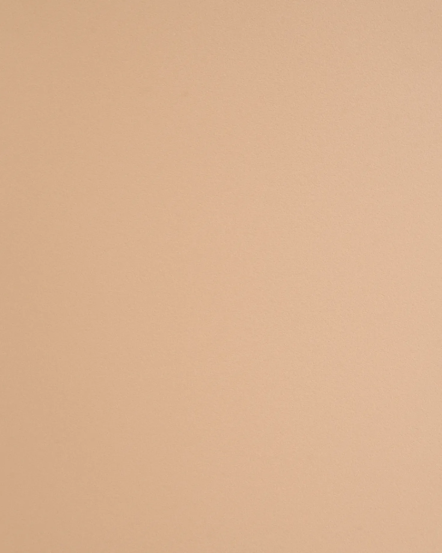 Set di 2 sedie da pranzo WINDUST Metallo Beige