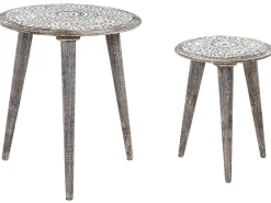 Set di 2 tavolini BARJU Legno di mango Bianco