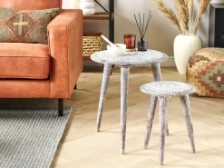 Set di 2 tavolini BARJU Legno di mango Bianco