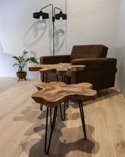 Set di 2 tavolini CAMROSE Legno di teak Marrone scuro