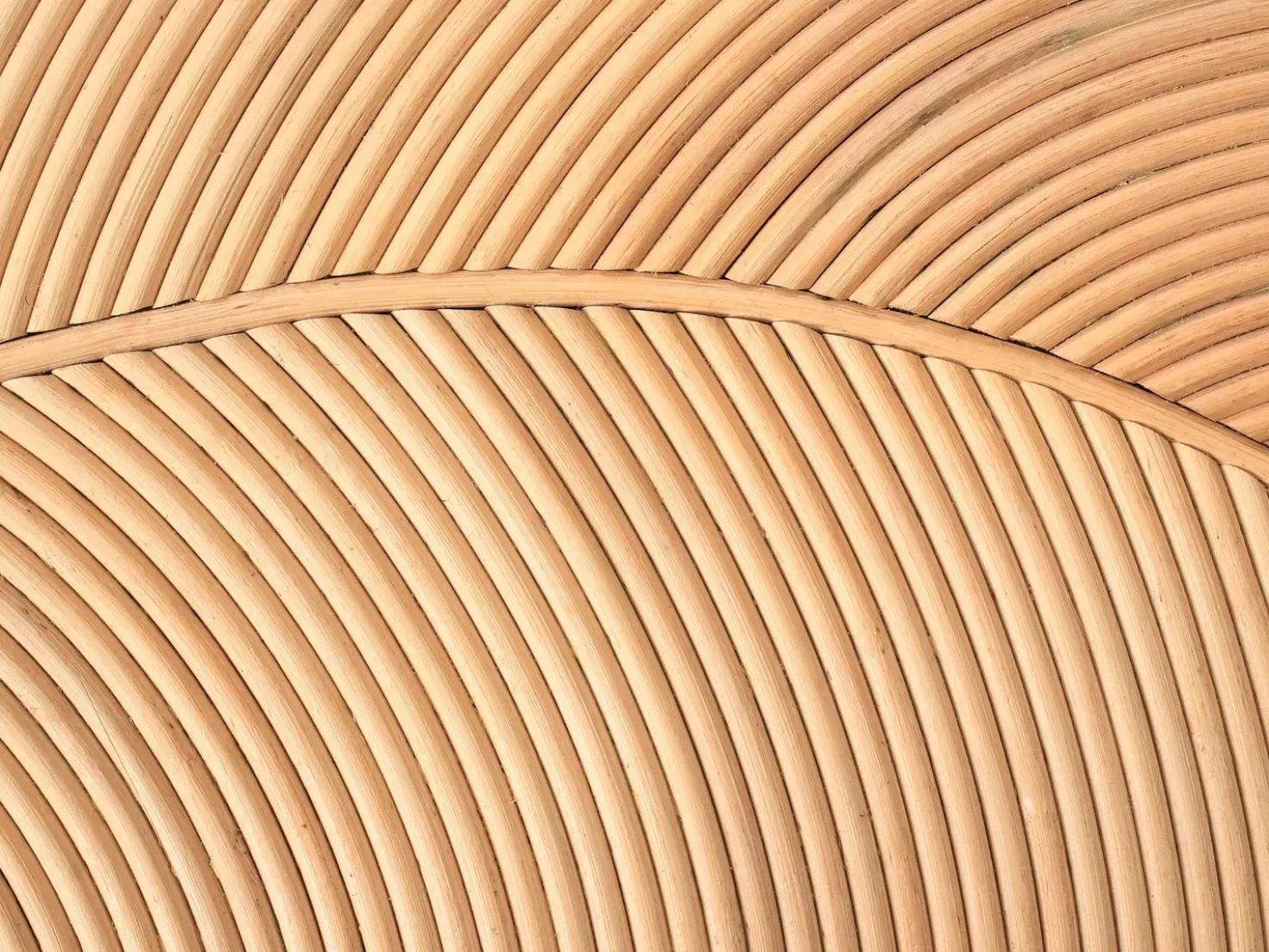Set di 2 tavolini da caffè PARALIA Rattan Naturale