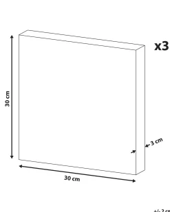 Set di 3 tele MENAKA Motivo animale 30 x 30 cm Multicolore