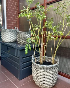 Set di 3 vasi da fiori in vimini GEFIRA Rattan sintetico (PE) 31/39/49 cm Grigio