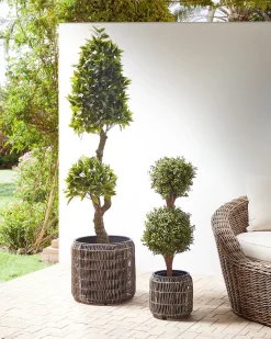 Set di 2 vasi per piante BRODIEA Rattan sintetico (PE) 26/45 cm Marrone chiaro
