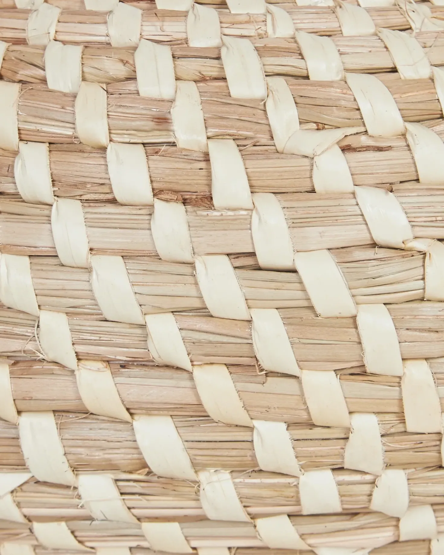 Set di 2 vasi per piante REMORA Alghe marine 22/14 cm Naturale