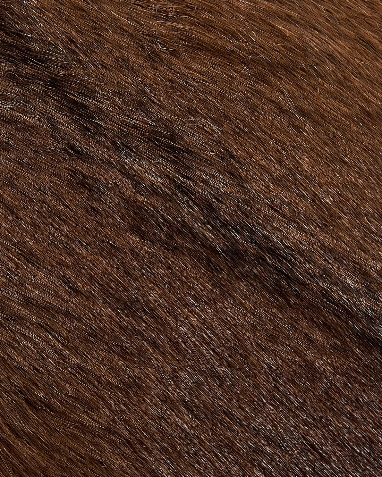 Sgabello da bar WALTON Pelle naturale Marrone