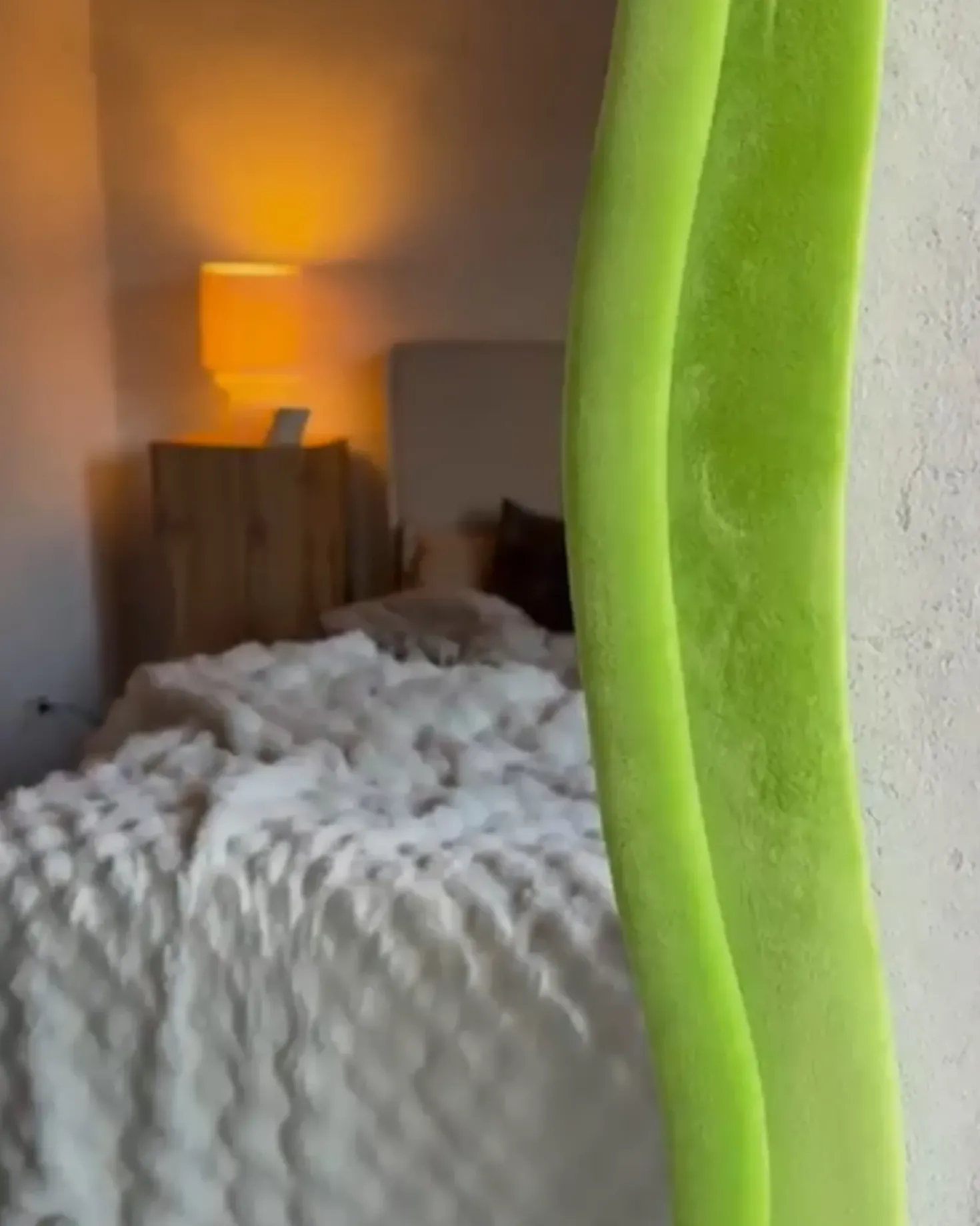 Specchio BEAUNE 56 cm 160 cm Velluto Verde