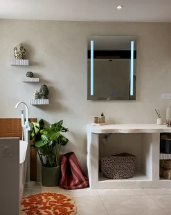 Specchio da bagno con luce LED MARTINET 70 cm 90 cm Argento