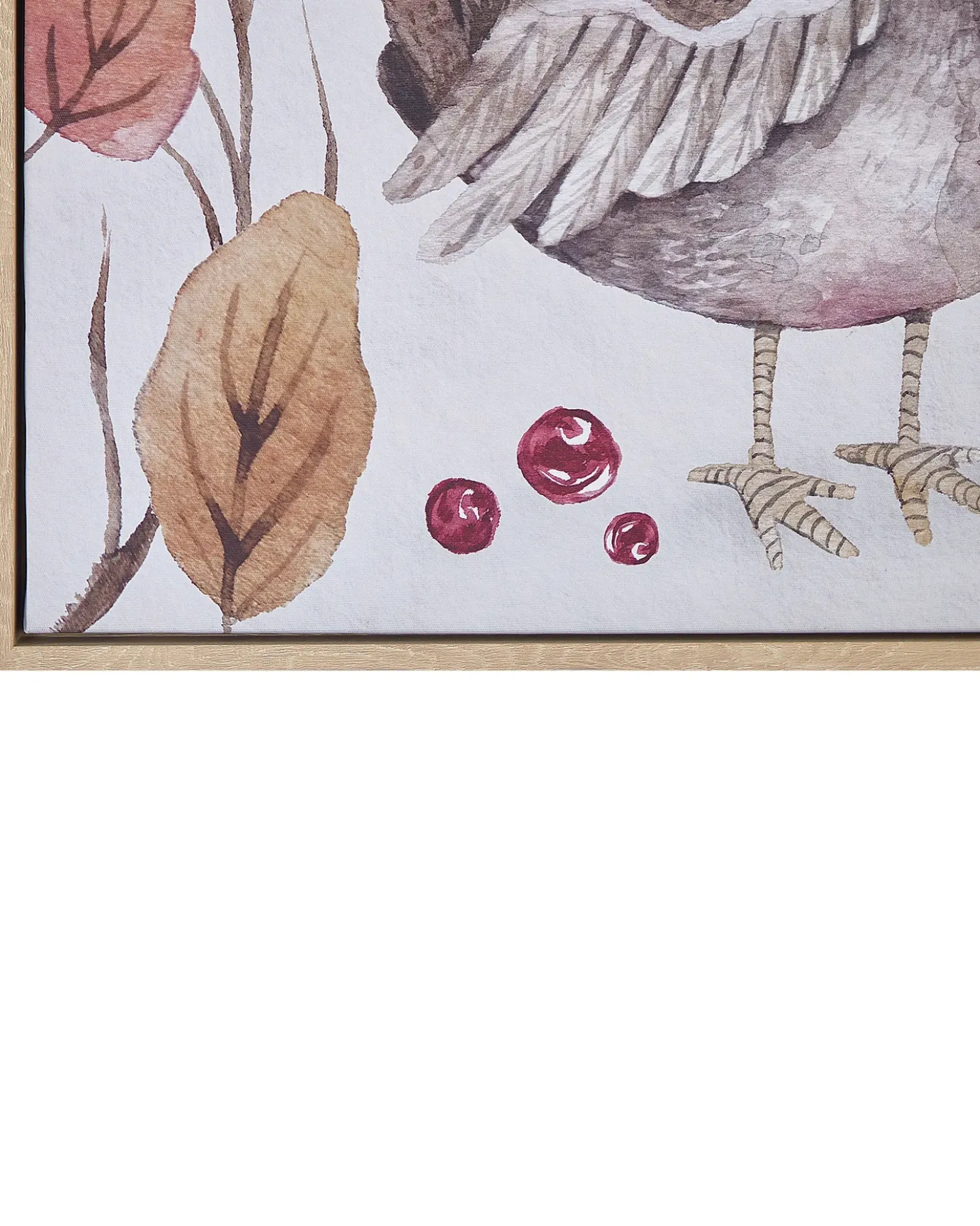Stampa su tela CASTRO Motivo animale 63 x 63 cm Multicolore