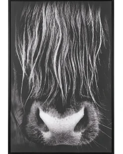 Stampa su tela GALEATA Motivo animale 63 x 99 cm Nero