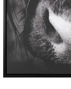 Stampa su tela GALEATA Motivo animale 63 x 99 cm Nero