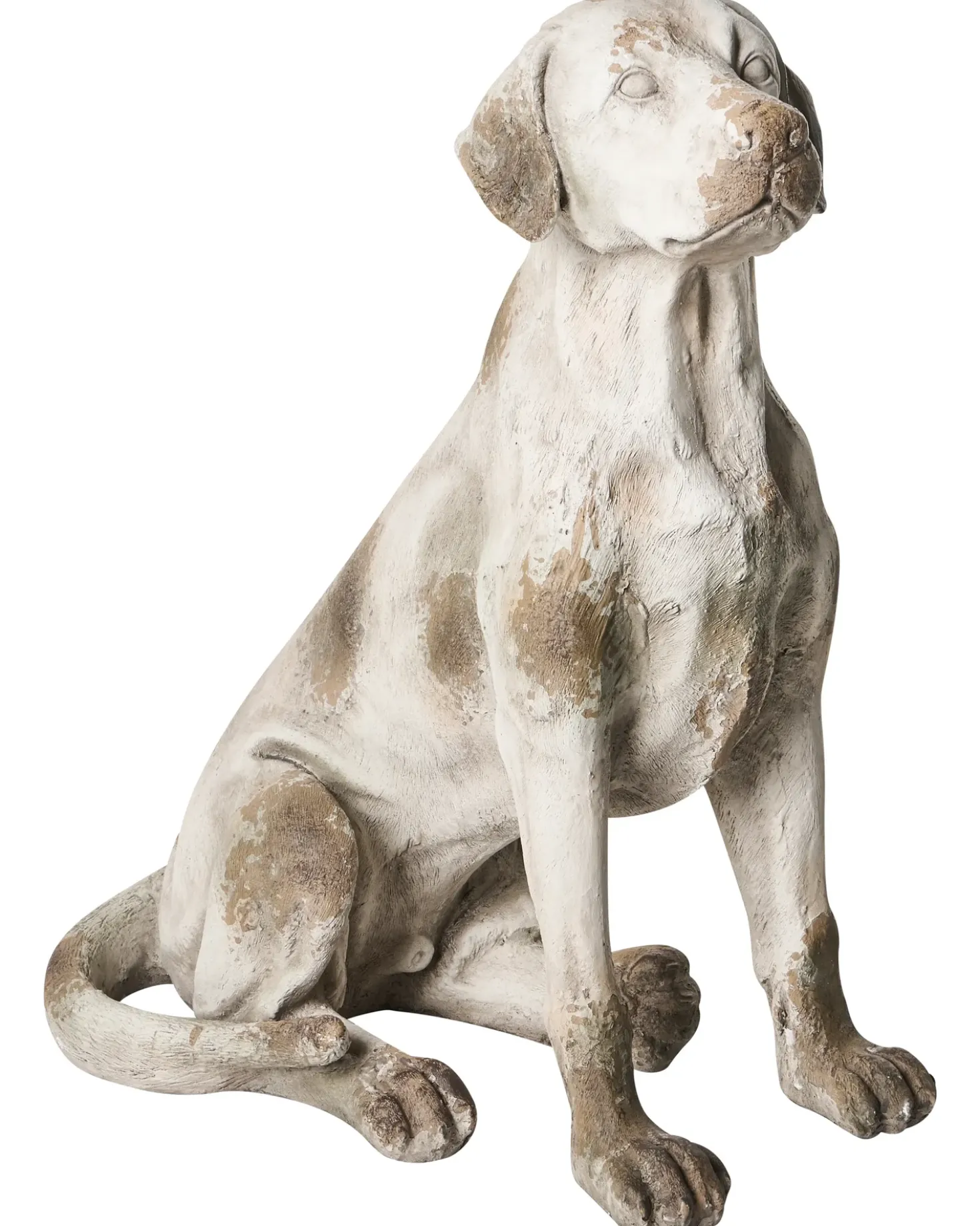 Statua da giardino CETONA Cane Beige