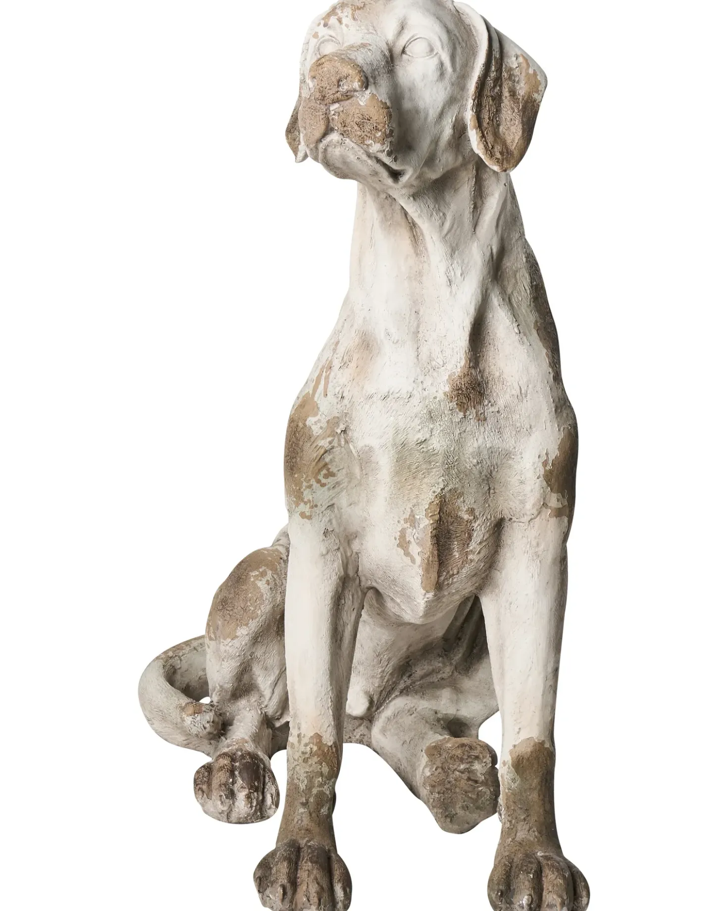 Statua da giardino CETONA Cane Beige