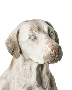 Statua da giardino CETONA Cane Beige