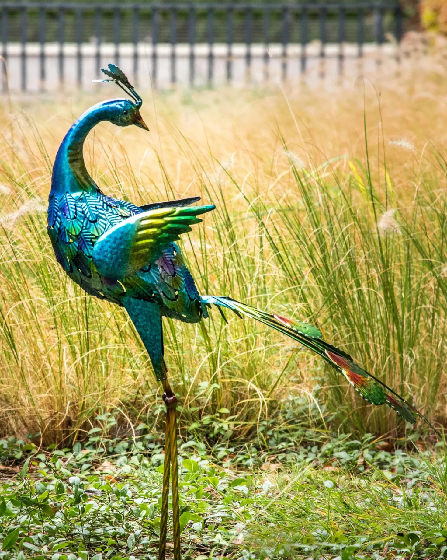 Statua da giardino PEACOCK Blu