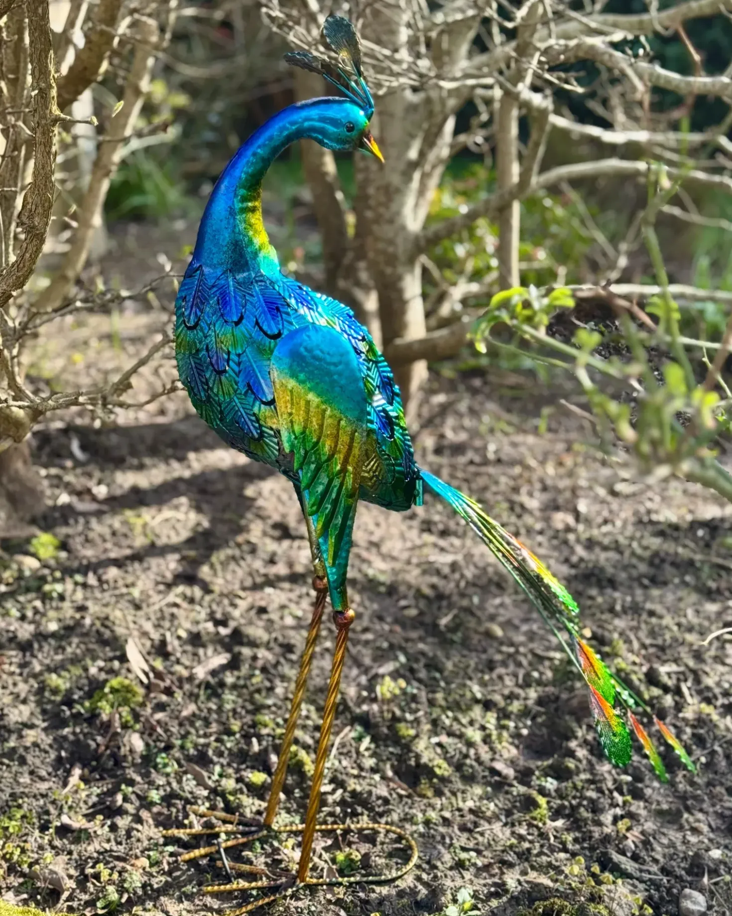 Statua da giardino PEACOCK Blu