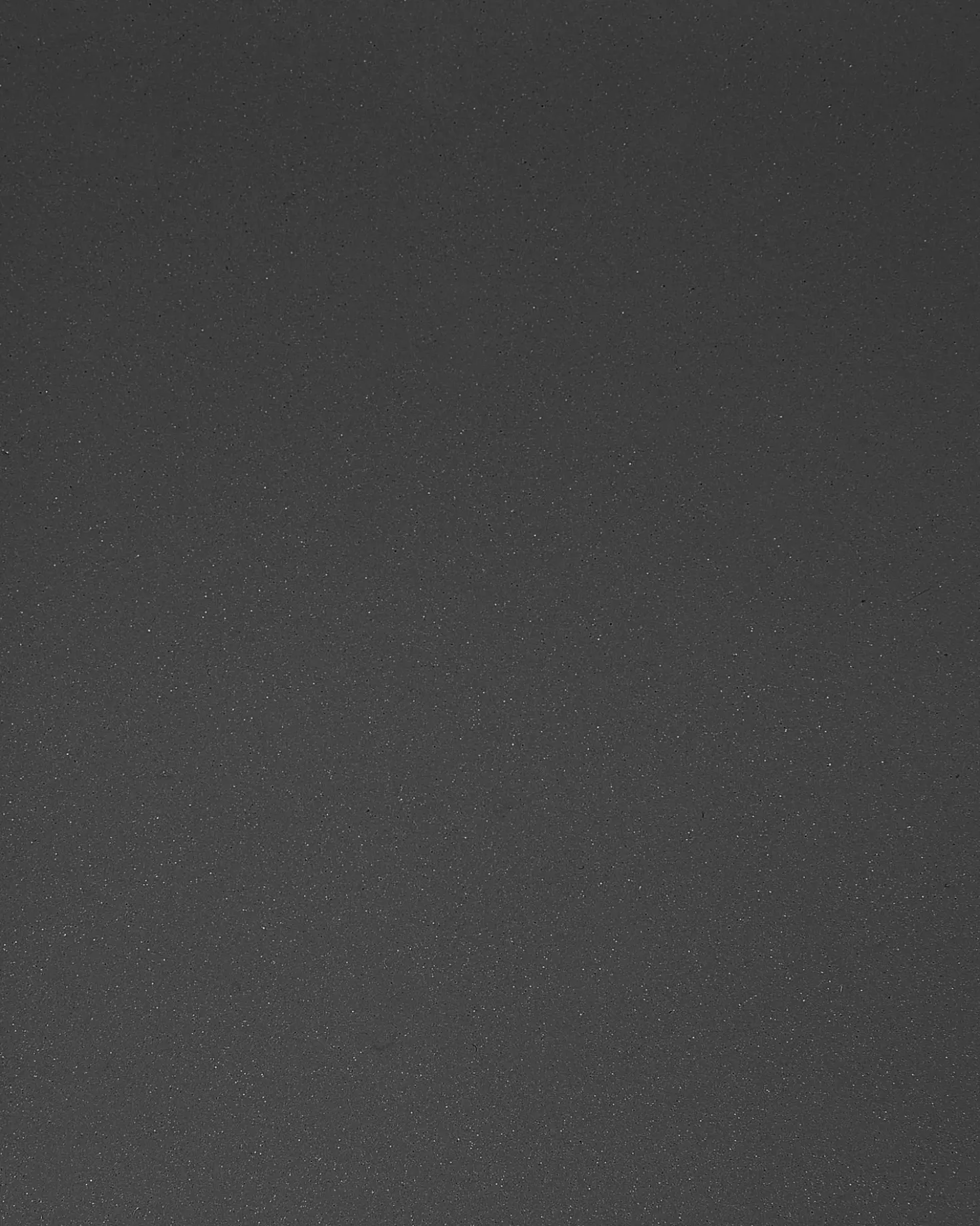 Supporto per vasi COTINUS Metallo 20 cm Nero