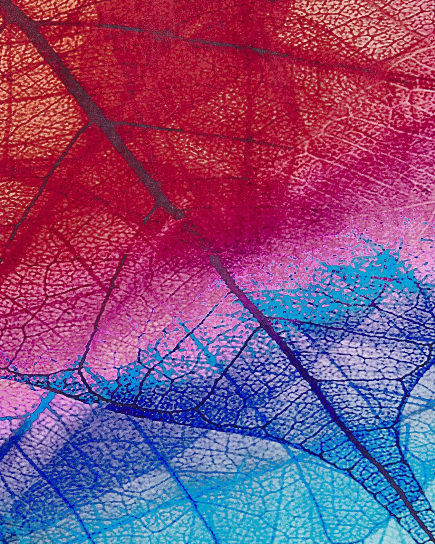 Tappeto ANTAKYA Multicolore 160 x 230 cm