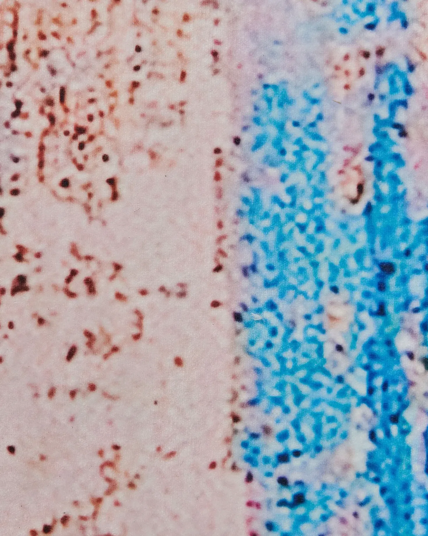 Tappeto INEGOL Blu 80 x 150 cm