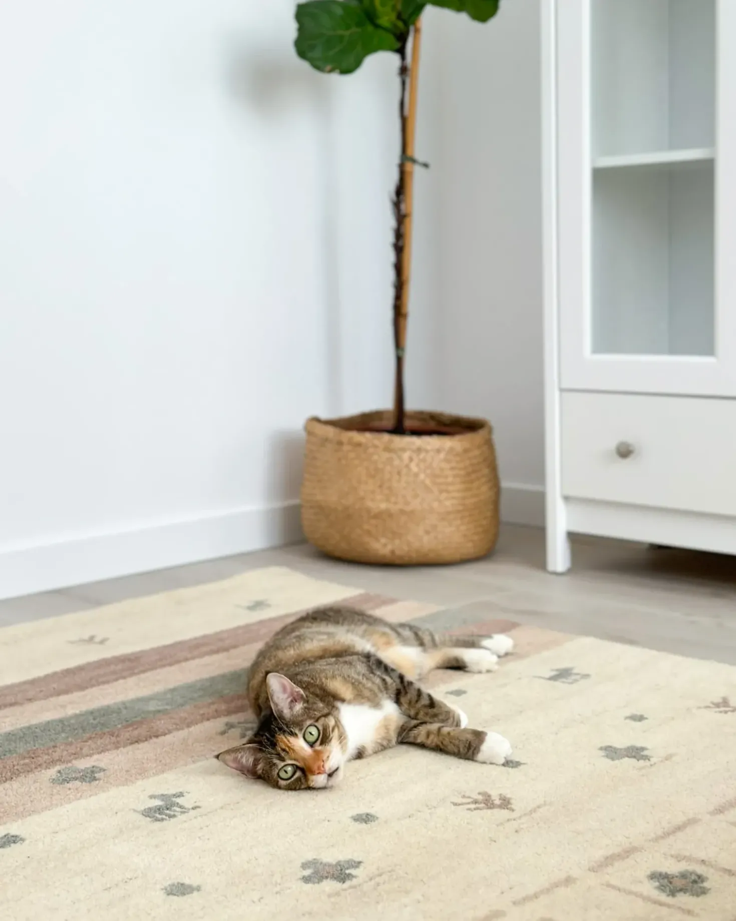 Tappeto KARLI Beige 160 x 230 cm Lana Persiano
