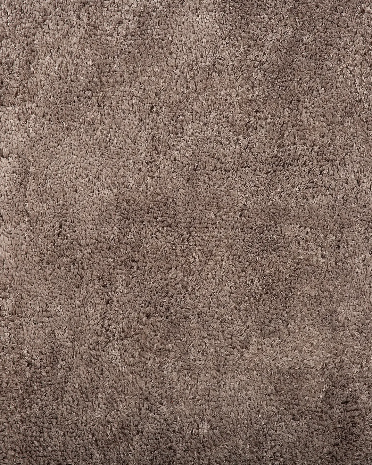 Tappeto Shaggy EVREN Marrone chiaro 200 x 200 cm