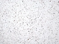 Tavolino ANTELAO 37 cm 37 cm Effetto terrazzo Terrazzo Bianco