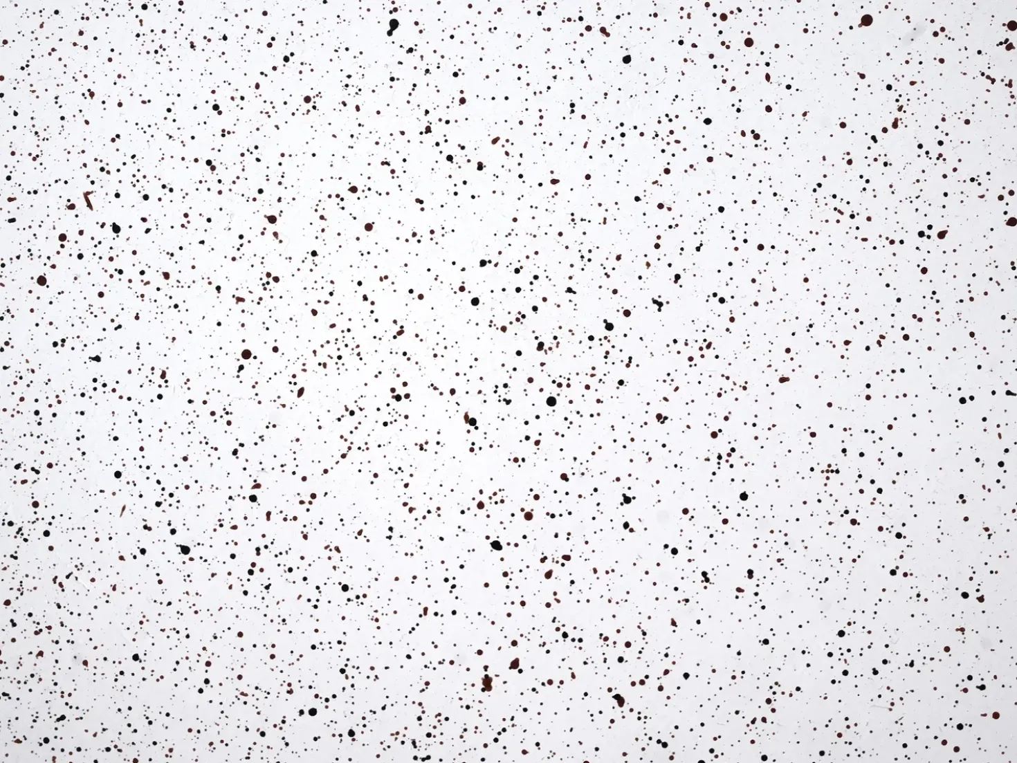 Tavolino ANTELAO 37 cm 37 cm Effetto terrazzo Terrazzo Bianco