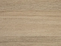 Tavolino da caffè SWANSEA Marrone chiaro con contenitore