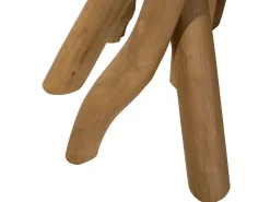 Tavolino MERRITT Legno di teak Marrone