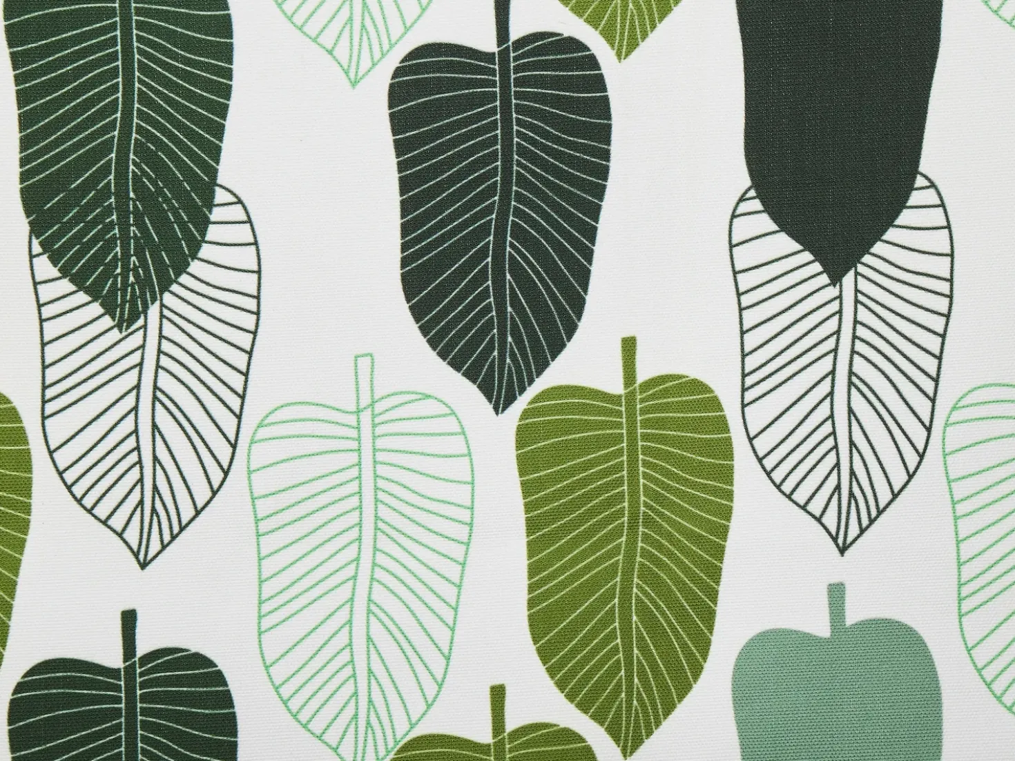 Teli da sdraio ANZIO/AVELLINO 113 x 44 cm Verde