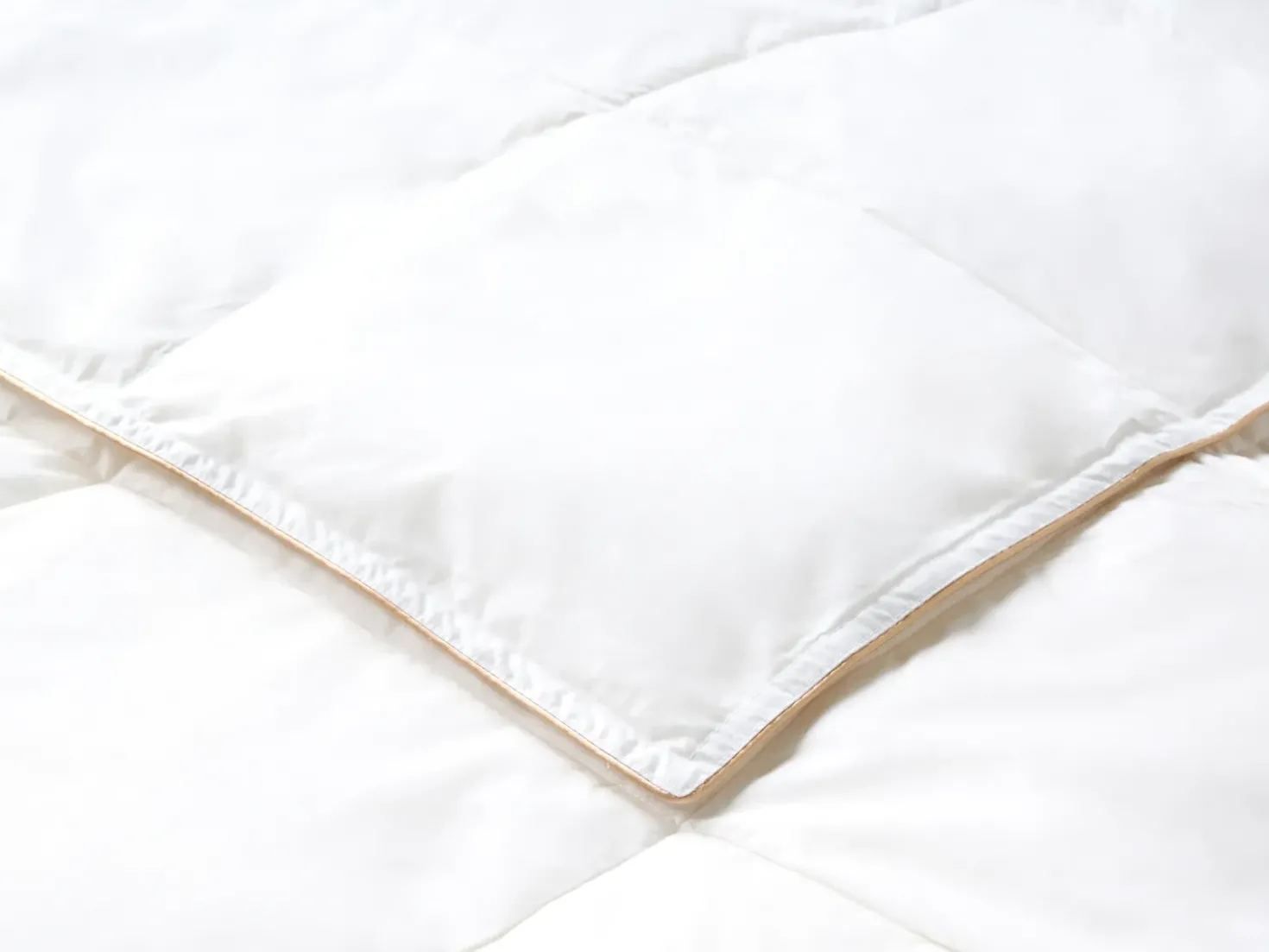 Trapunta Piumino d'anatra Medio caldo EIGER 220 x 240 cm