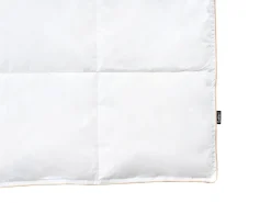Trapunta Piumino d'anatra Medio caldo EIGER 220 x 240 cm