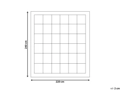 Trapunta Poliestere Extra caldo LEMBERG 220 x 240 cm