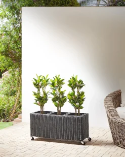 Vaso per piante BELLIS Rattan sintetico (PE) 82 cm Nero