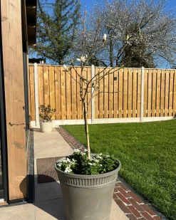 Vaso per piante CISTUS 44 cm Grigio