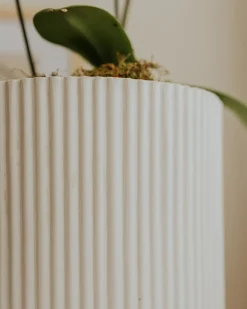 Vaso per piante DARIA 30 cm Bianco sporco