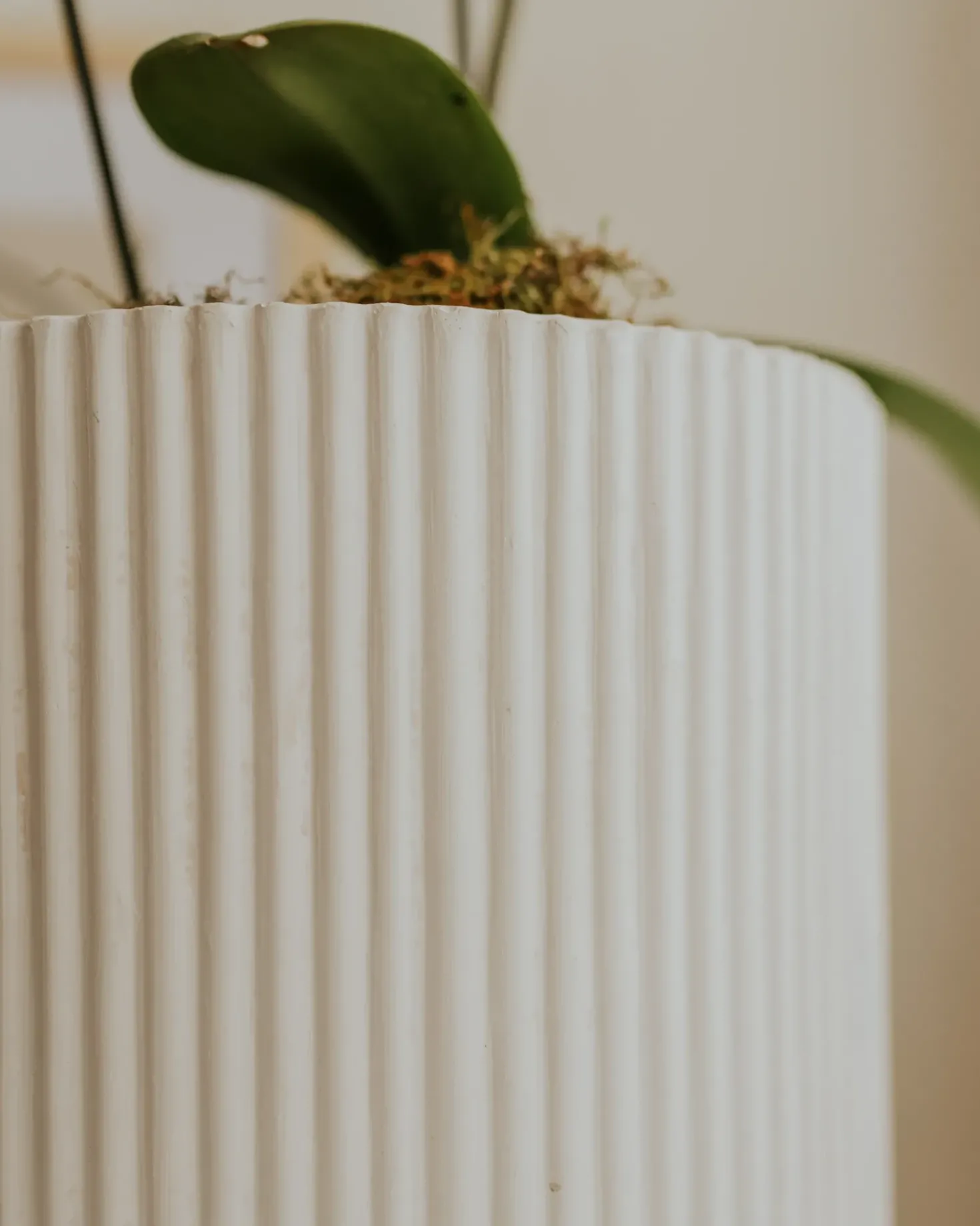 Vaso per piante DARIA 30 cm Bianco sporco