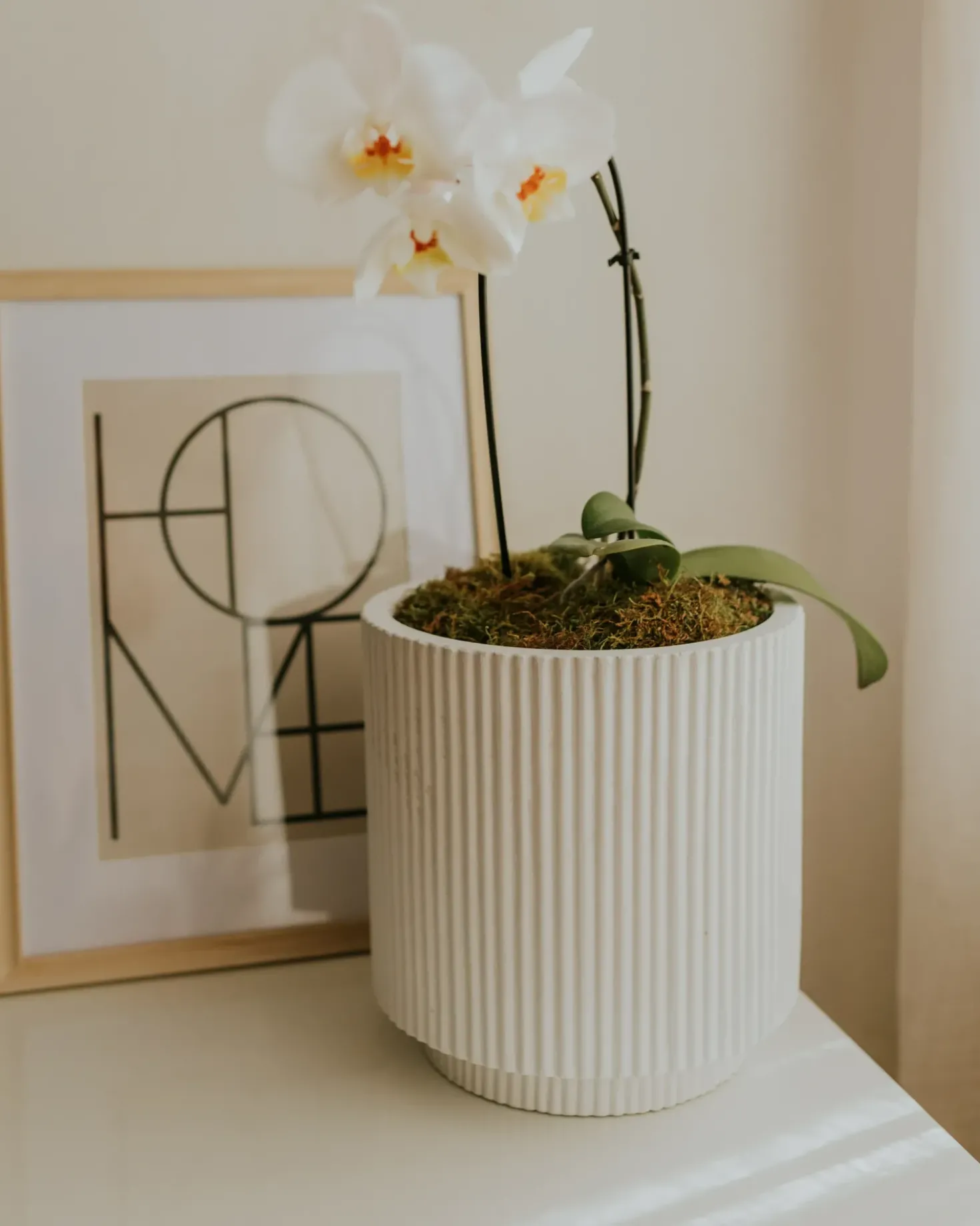 Vaso per piante DARIA 30 cm Bianco sporco