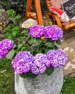 Vaso per piante DIONI 48 cm Grigio chiaro