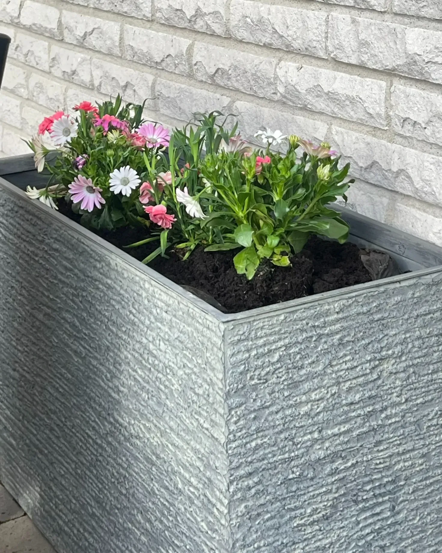 Vaso per piante EDESSA 80 cm Grigio